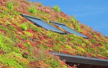 Silecroft living roof systems