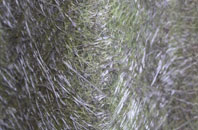 Silecroft fibreglass roof work